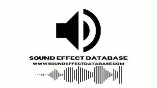 Bottlenose Dolphin Calling Sound Effect