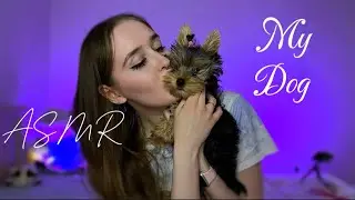 ASMR✨ с моей собачкой Лией🐶💜 ASMR with my dog💝