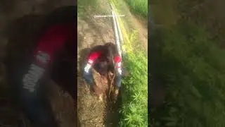#हर_व्यक्ति_हर_साल_एक_पौधा