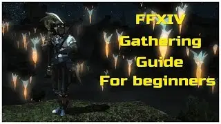 Gathering Guide for beginners