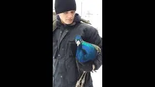 22 марта 2020 г.