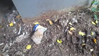 Где шыряются   Наркоши  В Харькове