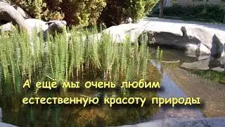 Природа и погода  Васильевского реабилитационного центра для хищников.