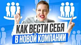 Как вести себя в новой компании / Советы, как влиться в новый коллектив