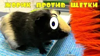 ЖОРИК против ЩЕТКИ  НОВЫЕ ПРИКЛЮЧЕНИЯ Видео для детей Очень СМЕШНО for kids