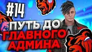 ПУТЬ ДО ГЛАВНОГО АДМИНА #14 БЛЕК РАША / BLACK RUSSIA / БЛЭК РАША