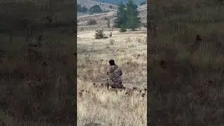 DEV KIZIL GEYİK YANIMA GELDİ BÖĞÜRDÜ! 