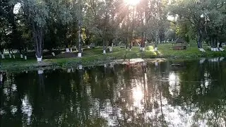Прохлаждаемся в парке у реки.