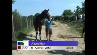 Hasan Kel