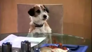FRASIER Funny Clips - Best Of Frasier 6 --- Eddie's staring at me (1-2-3) Kootallica S01E02