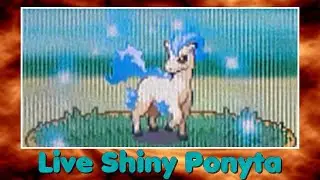 [Phase 3][Live] 3rd Shiny Ponyta after 9801 RE