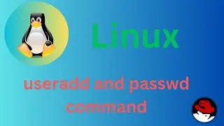 48/50 Basic Linux Commands | useradd & passwd command Explained 