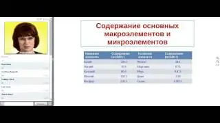 Анна Габченко  пыльца сосны 2015 05 14 17 03 32 079