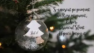 Brigitte Moisa - S-a nascut pe pamant