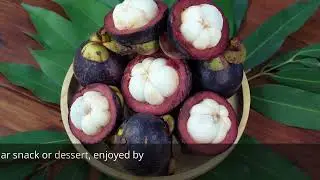 Vietnamese Mangosteen: The Perfect Balance of Sweet and Sour