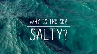 Why is the Sea Salty?