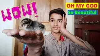 OH MY GOD So Beautiful || 7th Vlog || Iqrash K Vlogs