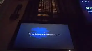 PS2 in 2021