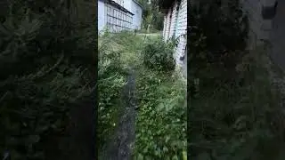 Кулебаки ул Мира и ул Кирюхина