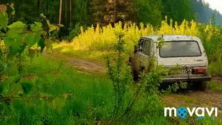 Нивы тоже могут ехать.