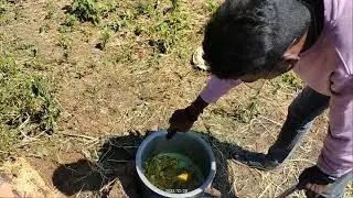 taste mutton curry preparing//hot taste mummy recipe