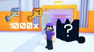 Opening 1000 prison key to get the huge prison cat