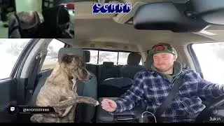 Sean Reacts To Daily Dose Of Internet