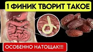 1-Финик СЪЕДЕННЫЙ НАТОЩАК: потенциальный источник необратимых процесс в организме.Что творят финики?