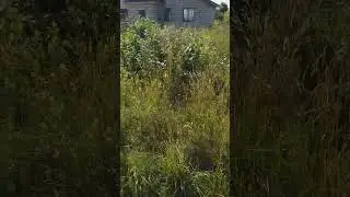 колым   часть 2