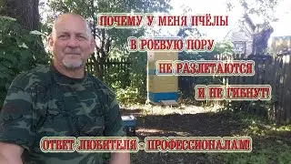 Почему пчёлы не роятся и не гибнут! Ответ любителя - профессионалам!