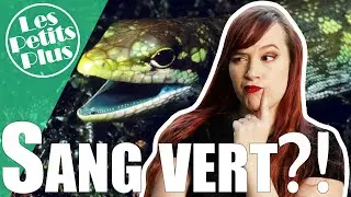 Des lézards au sang VERT?! - LPP#4 + quelques news