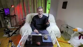 Домашние напитки