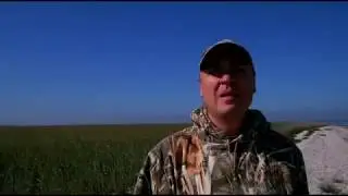 Как меняется Сиваш
