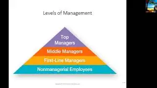 The Function & Process of Management