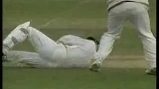 Cricket Best Catch Ever [ Top 10 Best Catch ]
