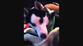 Avoiding eye contact