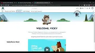 Extend Your Reporting Strategy with the AppExchange  #36 
