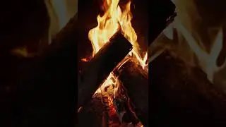 No Copyright Shorts -Fire - No Copyright Zone