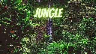 [FREE] Travis Scott type Dark melodic trap beat