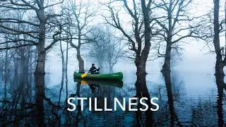 Flooded forest solo adventure