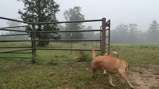 catch me if you can