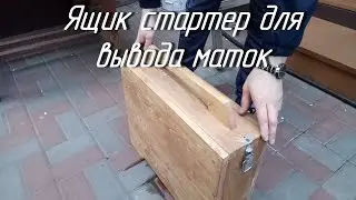 Queen starter box