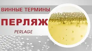 What is perlage. Wine terms.