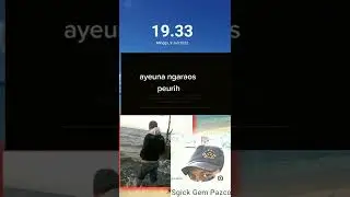 sgick gem pazco