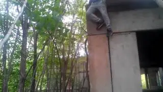 Кактус слазиет