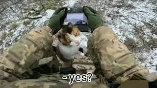 Cat climbs a Ukrainian soldier operating a drone