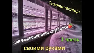 Зимняя теплица для выращивания клубники своими руками  2 часть