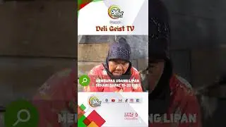 PENGUPAS UDANG LIPAN, MENGEJAR GAJI 10-20 RIBU PERHARI #sumaterautara #belawan #medan #fish