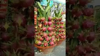 Panen buah-buahan #shorts #short
