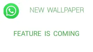 Whatsapp new Wallpaper Feature is Coming Soon